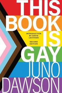 Book cover: This Book is Gay