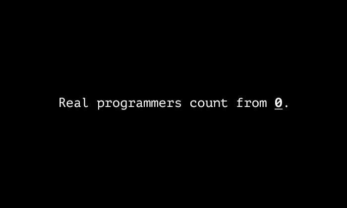 programmer insider jokes